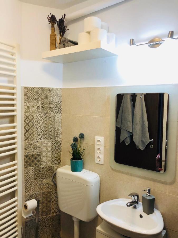 Little Cute Homey Apartman Satu Mare Buitenkant foto