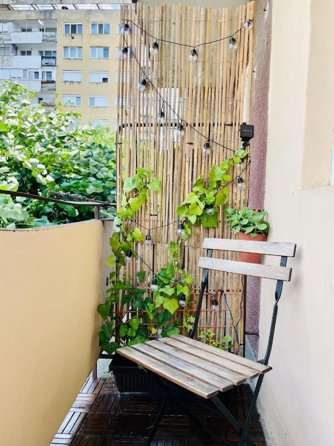 Little Cute Homey Apartman Satu Mare Buitenkant foto