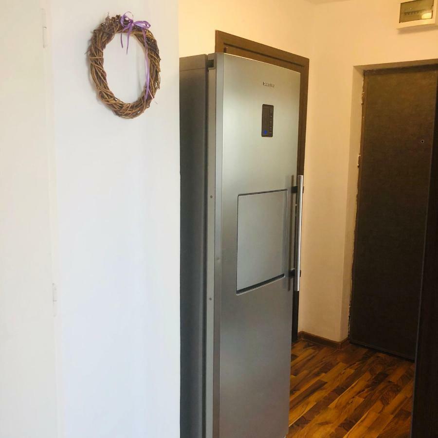 Little Cute Homey Apartman Satu Mare Buitenkant foto