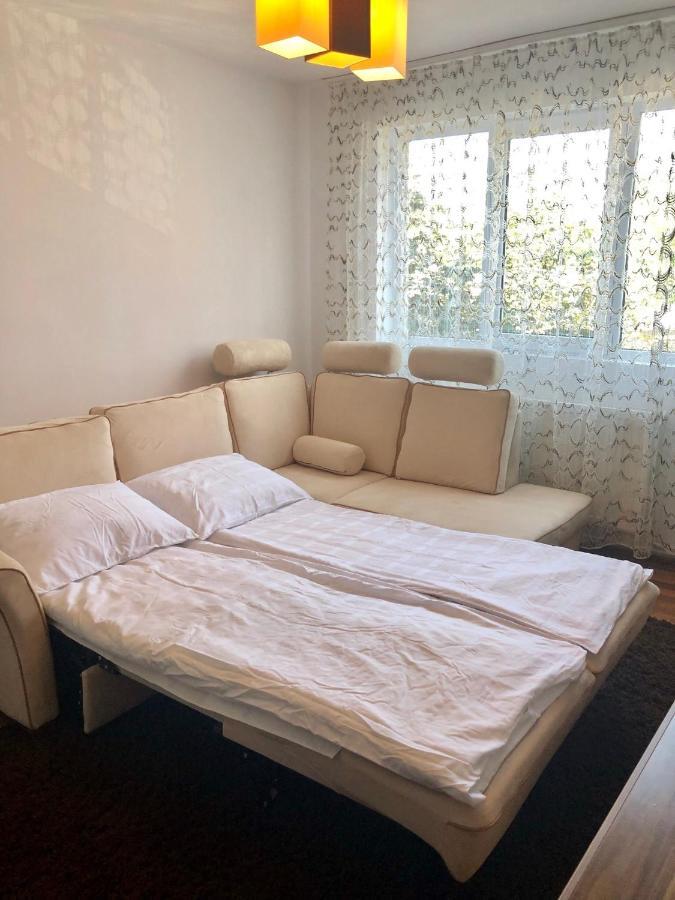 Little Cute Homey Apartman Satu Mare Buitenkant foto